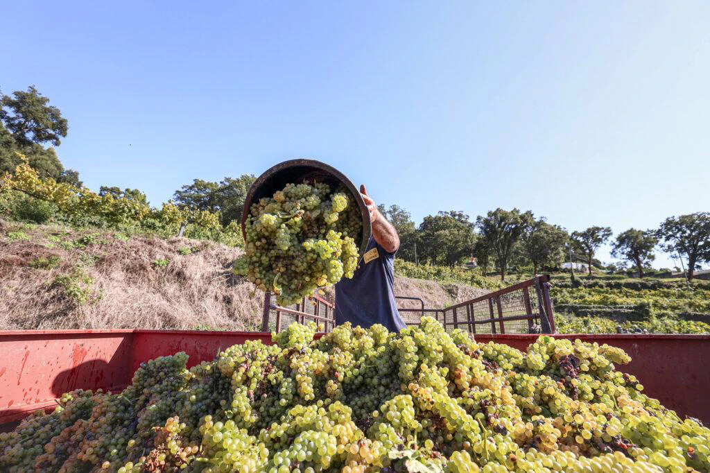 Tour de braga - Imagem