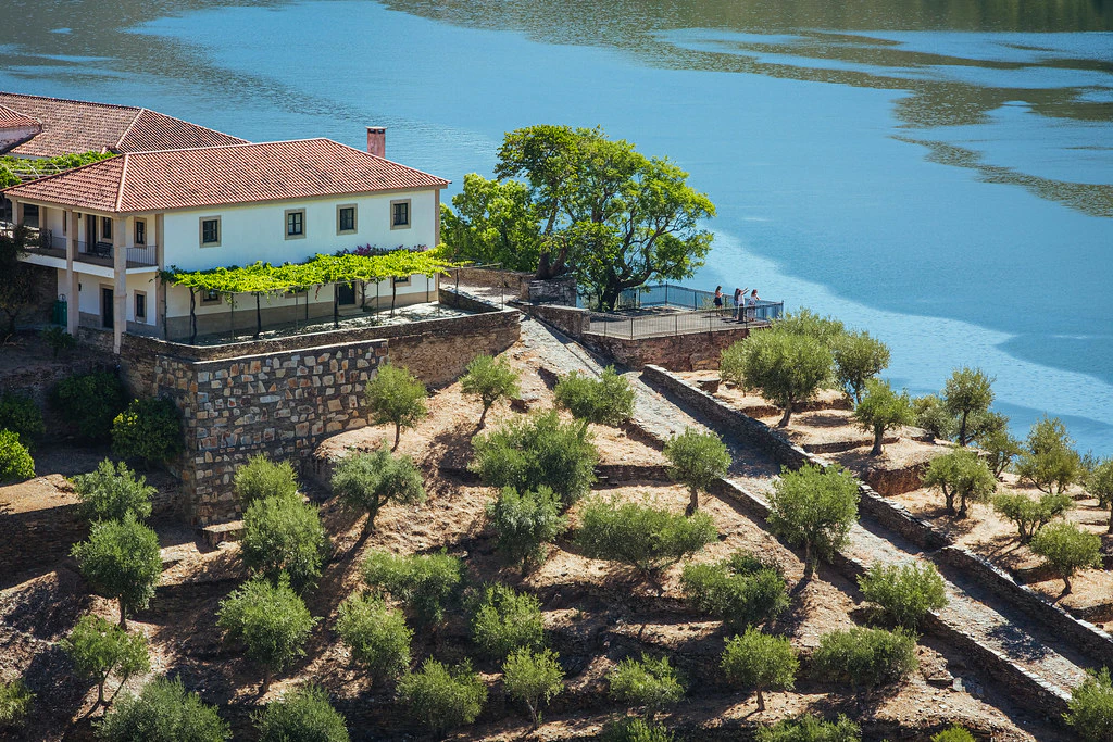 Tour do douro - Imagem