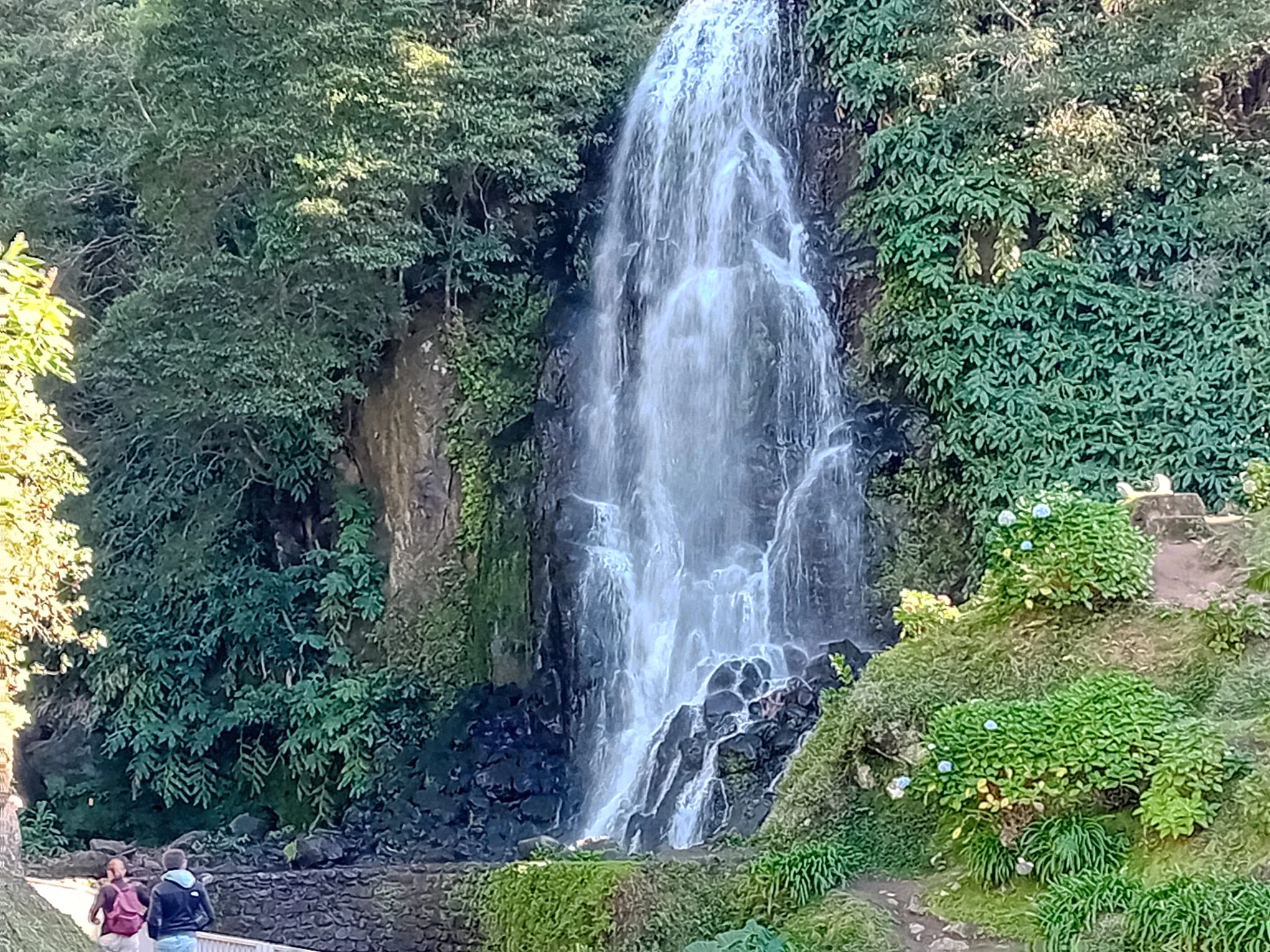 Tour dos acores - Imagem